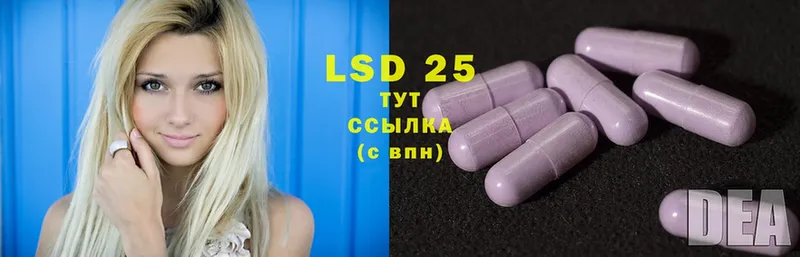 ЛСД экстази ecstasy  как найти наркотики  Злынка 